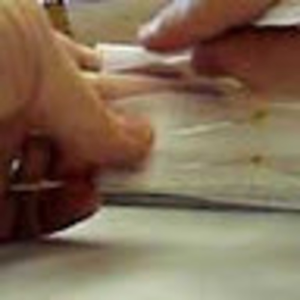 Meet your Posher, Susanne